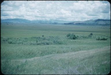Large deserted plain beyond Aviamp : Waghi Valley, Papua New Guinea, 1954 / Terence and Margaret Spencer