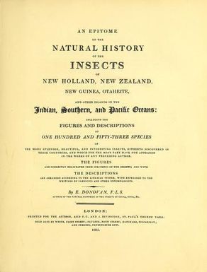 An epitome of the natural history of the insects of New Holland, New Zealand, New Guinea, Otaheite, and other islands in the Indian, Southern, and Pacific oceans : including the figures and descriptions of one hundred and fifty-three species of the more splendid, beautiful, and interesting insects, hitherto discovered in those countries, and which for the most part have not appeared in the works of any preceding author. The figures are correctly delineated from specimens of the insects