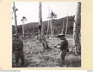 MUSCHU ISLAND, NEW GUINEA, 1945-09-08. LIEUTENANT J. CLEARY, MILITARY HISTORY SECTION, SKETCHING A JAPANESE NAVAL CONSTRUCTION CORPORAL. THE JAPANESE SOLDIERS, UNDER THE CONTROL OF HQ 6 DIVISION, ..