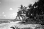 House at lagoon shore.