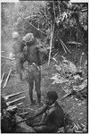 Pig festival, uprooting cordyline ritual, Tsembaga: legs of man (center) have been smeared with pandanus oil for strength