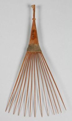Head Comb