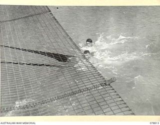 DANMAP RIVER, NEW GUINEA. 1945-01-26. NX128046 PRIVATE L. JARRETT (1) AN NX95222 PRIVATE W.B. SPEAKMAN (2) COOLING OFF IN THE SWIFTLY FLOWING RIVER WHILE HANGING ONTO ROPES SUSPENDED FROM THE ..