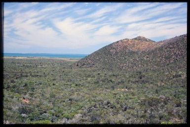 Maquis and coastal plain