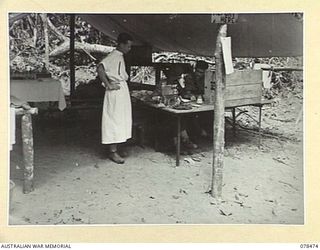 TAGESSI, BOUGAINVILLE ISLAND. 1945-01-17. QX58320 PRIVATE MCDERMANT, NURSING ORDERLY (1) AND Q126496 PRIVATE L.W. HAM, RECORDS CLERK (3) CHATTING WITH NX137564 MAJOR S.B. CLIPSHAM, MEDICAL OFFICER ..