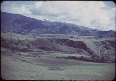 Lower end of the Minj River : Papua New Guinea, 1954 / Terence and Margaret Spencer