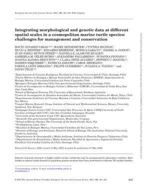 Integrating Morphological and Genetic Data at different spatial scales in a comopolitan Marine Turtle species: Challenges for Management Conservation