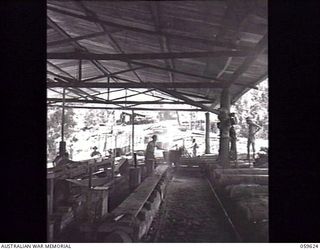 DONADABU, NEW GUINEA. 1943-11-09. TROOPS OF THE 9TH AUSTRALIAN WORKSHOP AND PARK COMPANY, ROYAL AUSTRALIAN ENGINEERS WORKING WITH TIMBER AT THE EILOGO SAWMILL. SHOWN: VX140513 SAPPER (SPR) A. A. ..