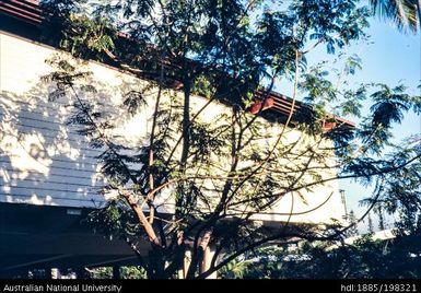 New Caledonia - white building with black balconies, gardens