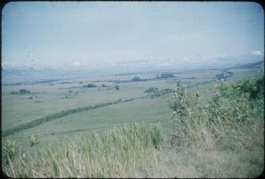 The road from Banz to Kimmil : Waghi Valley, Papua New Guinea, 1954 / Terence and Margaret Spencer