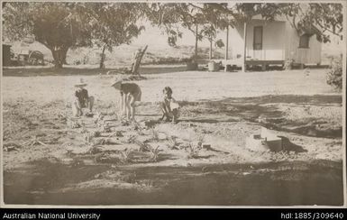 The Gamson (junior) Plantation