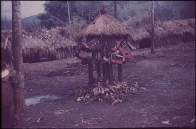 The bolim haus (1) : singsing ground of the Kukiga Clan, Wahgi Valley, Papua New Guinea, 1955 / Terence and Margaret Spencer