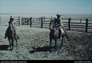 Aboriginal stockmen