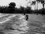 Samoan woman drying Pandanus