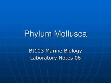 Phylum Mollusca - Marine biology