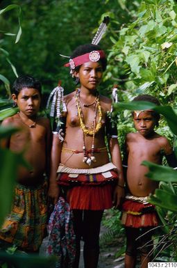 ["porträtt, fotografi, photograph"]