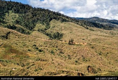 Okapa road - 10 miles to Orona (right of road)
