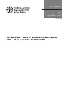 International commercial fishing management regime safety study : synthesis of case reports