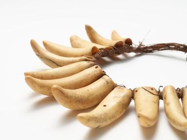 Vuasagale (sperm whale tooth necklace)