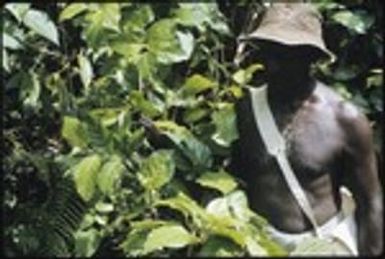Man with branches of bush