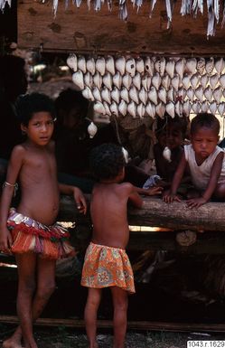 ["fotografi, photograph"]