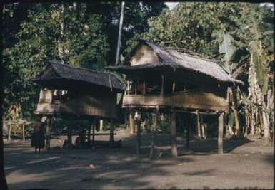 Coastal villages between Fai'ava and Mataita (1) : Goodenough Island, D'Entrecasteaux Islands, Papua New Guinea, 1956-1958 / Terence and Margaret Spencer