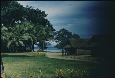 Houses (1) : Buka Island, Bougainville, Papua New Guinea, 1960 / Terence and Margaret Spencer