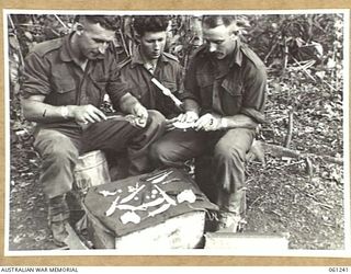 KUMBARUM, NEW GUINEA. 1943-11-30. VX22049 SIGNALMAN K. J. FARRELL OF FITZROY, VIC (LEFT); NX131569 SIGNALMAN K. MCCLINCHEY OF MANLY, NSW (CENTRE) AND VX35484 SIGNALMAN G. M. WAYTH OF CASTLEMAINE, ..