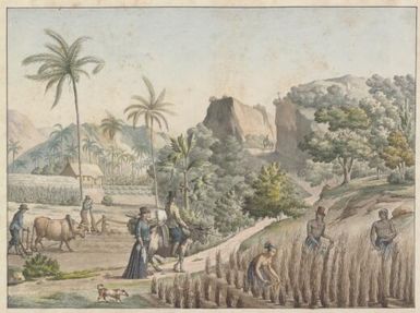 [Ile Guam, travaux d'agriculture] / [J. Alphonse Pellion]