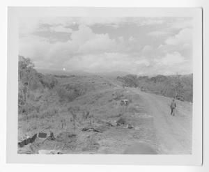 [Dirt Road on Guadalcanal]