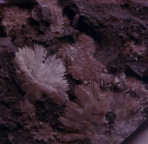 [Zeolite crystals close-up in Bishop Museum, United States]