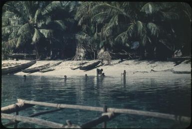 Canoes on the beach (3) : Mortlock Islands, Papua New Guinea, 1960 / Terence and Margaret Spencer