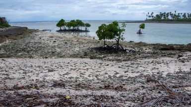 Tarawa return 1st