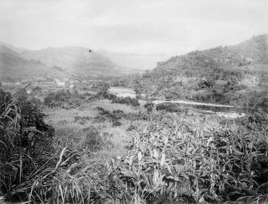 View on the upper Wai-na Mala [River]