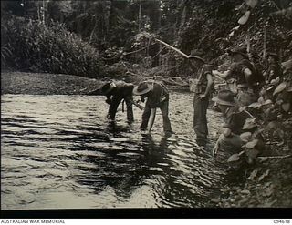 Yara River, New Britain. 1945-07-28. Members of a 2/2nd Cavalry Commando Squadron, AIF, patrol refreshing themselves with the fast flowing river water