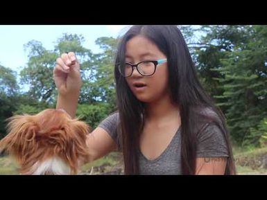 PBS Hawai‘i - HIKI NŌ Aired 05/30/19 | Waiākea High School - Hawai‘i Island | Aloha ‘Īlio