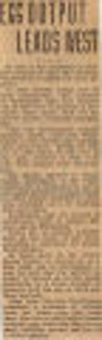 Egg Output Leads West. Northwest History. Postal Service, Editorials to Surveys Poultry & Eggs. Eggs, General. Production. United States