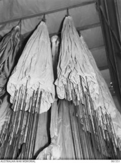 3 MILE, PORT MORESBY, NEW GUINEA. 1943-12-14. PARACHUTES SUSPENDED FROM PULLEYS IN THE DRYING ROOM OF THE 1ST AUSTRALIAN PARACHUTE REFOLDING PLATOON, AUSTRALIAN ARMY ORDNANCE CORPS