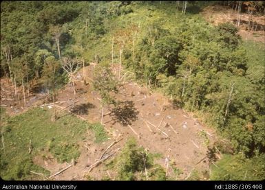 Land clearing for new garden, Popondetta