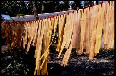 [Pandanus?] leaves drying on a line, Cook Islands