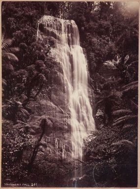 Waitakerei Fall. From the album: Tahiti, Samoa and New Zealand scenes