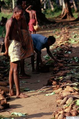 ["fotografi, photograph"]