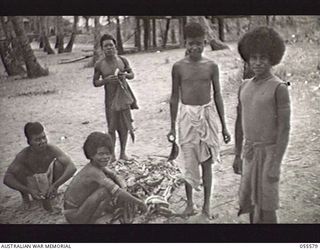 PORT MORESBY, NEW GUINEA. 1943-08-11. NATIVES OF TUPUSELEI ROASTING GREEN BANANAS