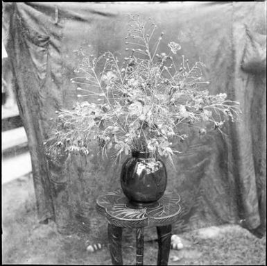 Bowl of poinciana on a Trobriand Island stool, Rabaul, New Guinea, ca. 1936 / Sarah Chinnery