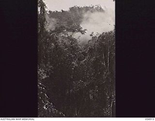 BULLDOG-WAU ROAD, NEW GUINEA, 1943-07-14. JUNGLE SCENE AT THE 21 MILE POINT