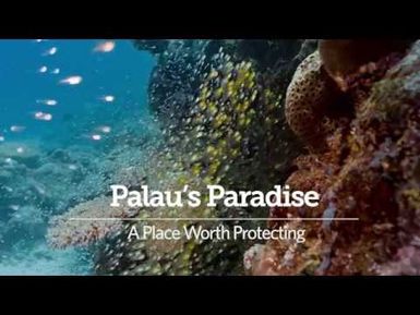 Palau's Paradise; Ocean Wonders Worth Protecting