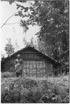 Priest Geleniu of Ga'enaafou by his men's house