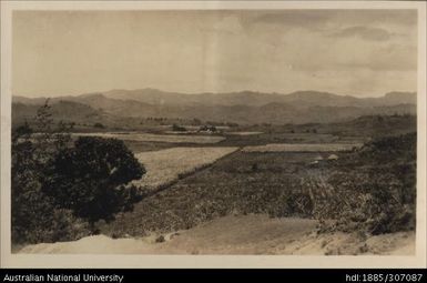 Tenant farms at Loma Loma, Lautoka