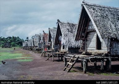 Kaulay (or Kaurai) village: Central Woodlark. Views of houses showing 'street'. See notebook p.23. Report 2.9