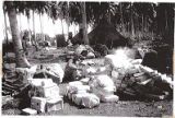 Christmas mail arriving for the soldiers of 164th Infantry on Guadalcanal, 1942